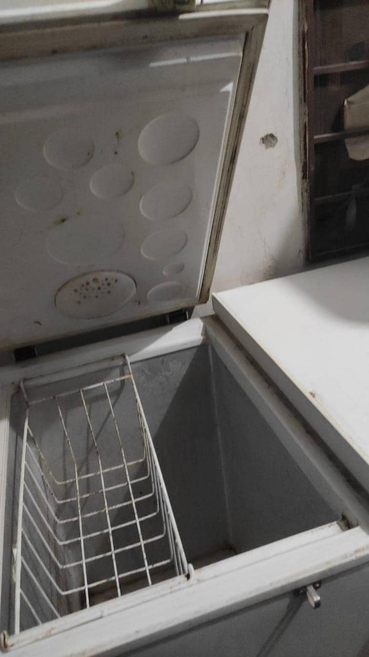 freezer 1