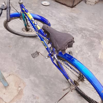 sports cycle