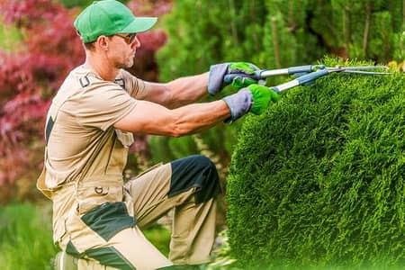 Home garden worker boy