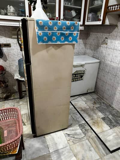 general  company freezer sale, original compressor