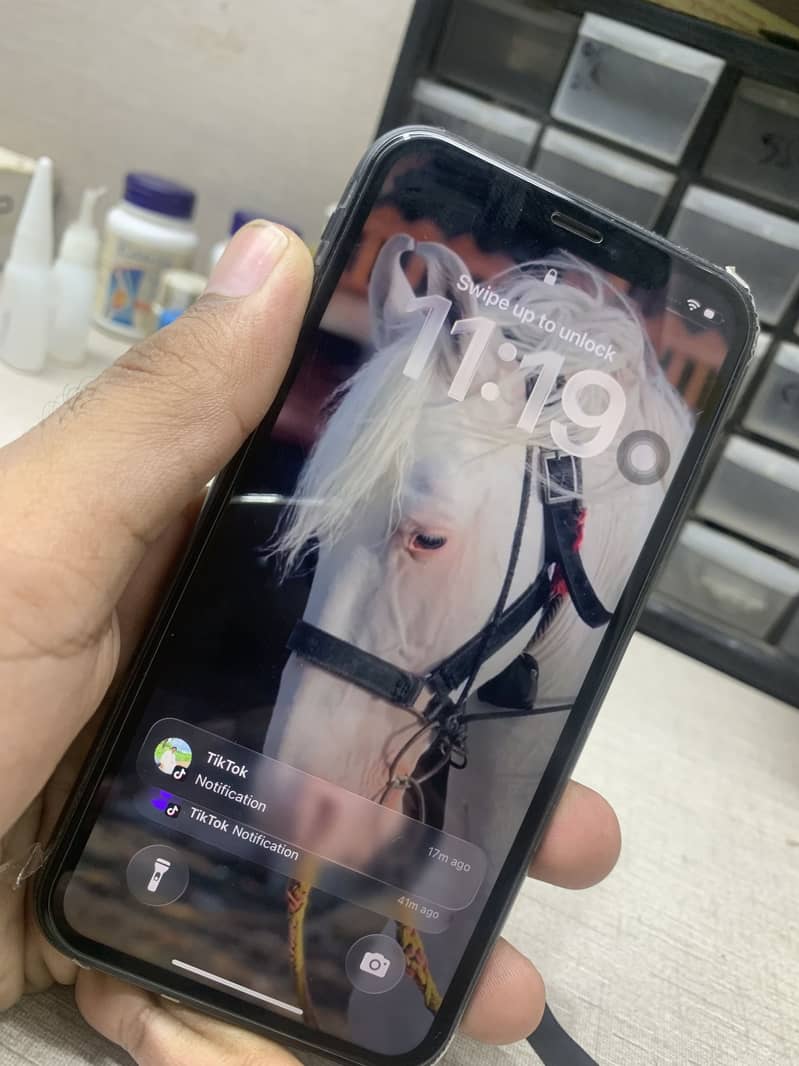 Apple iPhone 11 3