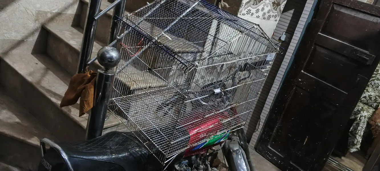 bird gadhge — photo 2