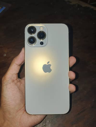 Apple iPhone 13 Pro Max