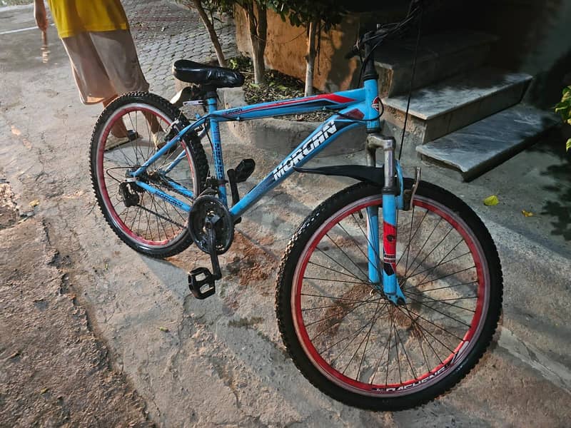 bicycle 0