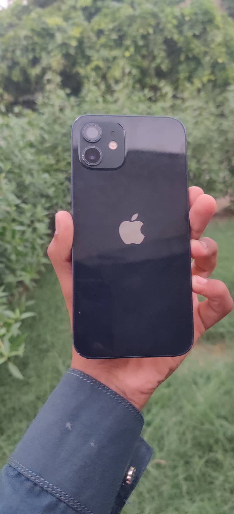 Apple iPhone 12 3