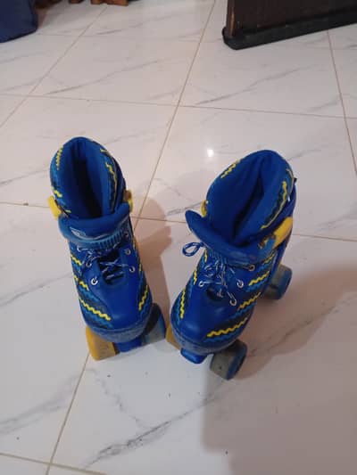 skating shoes