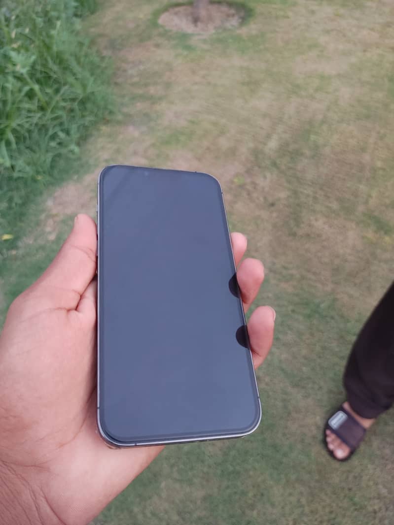 Apple iPhone 13 Pro Max 2