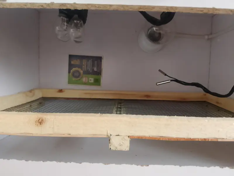 manual incubator — photo 2