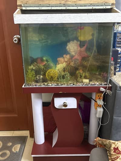 Aquarium with fish
