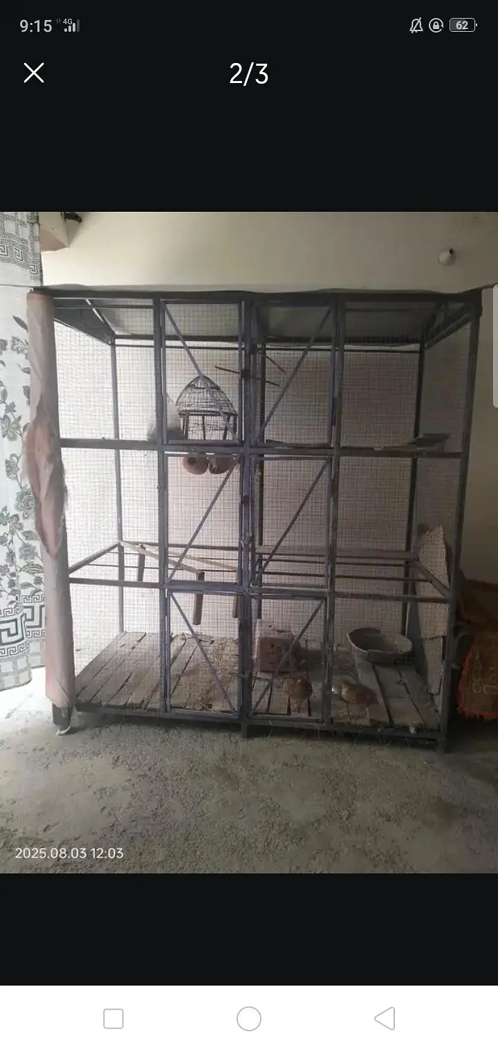 havy iron cage — photo 2