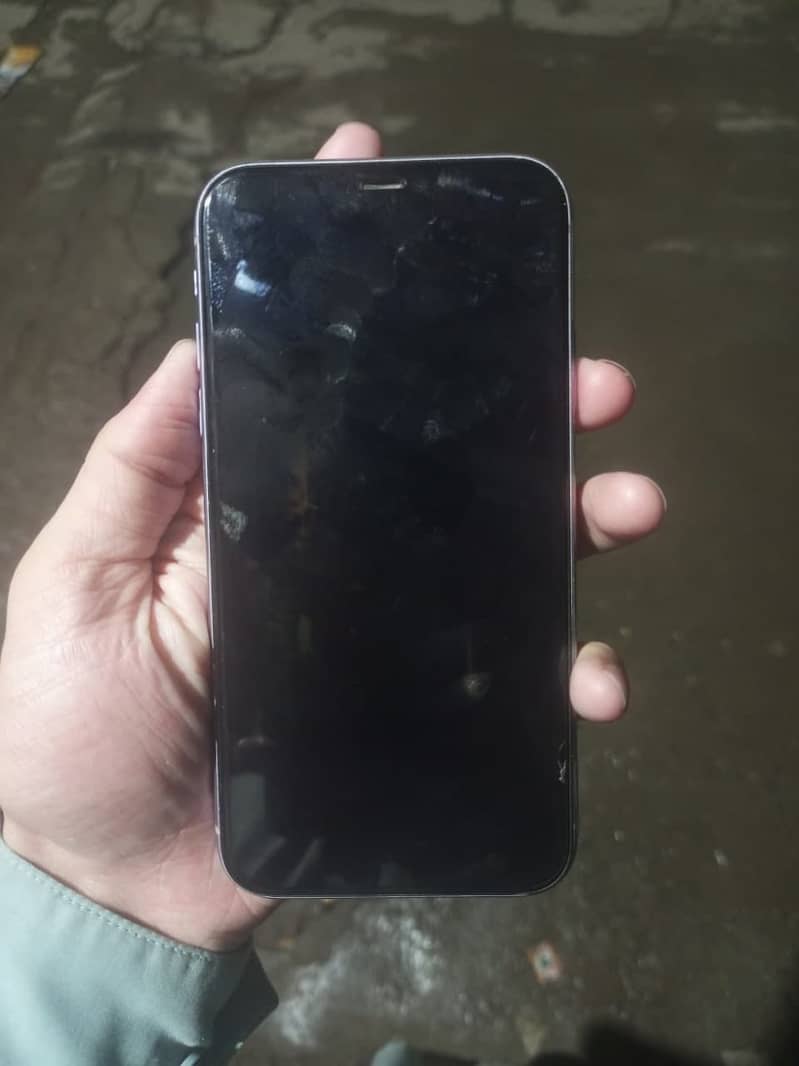 iPhone 11 3
