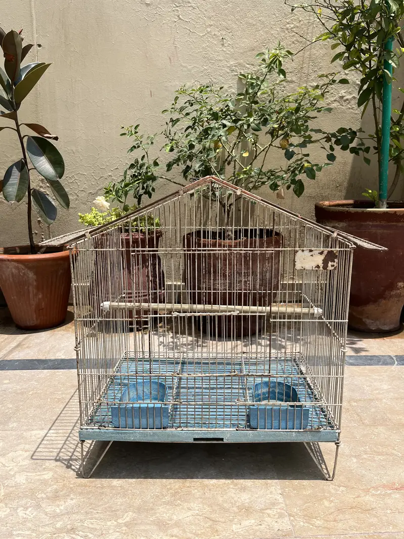 Metal Bird Cages for Sale | Large, Medium & Small Sizes — photo 2