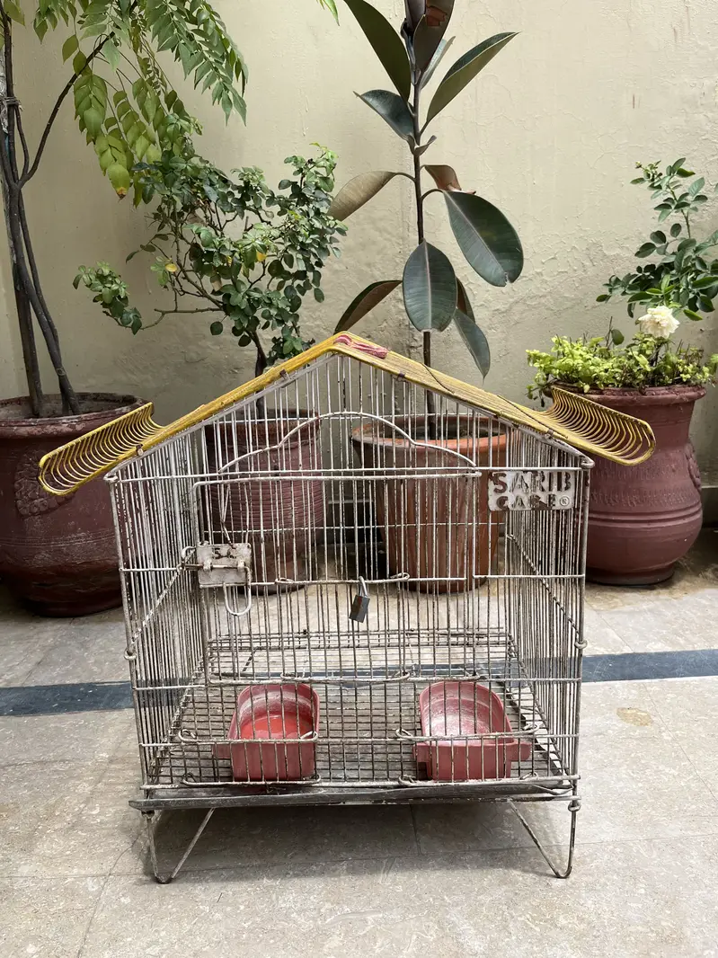 Metal Bird Cages for Sale | Large, Medium & Small Sizes — photo 3