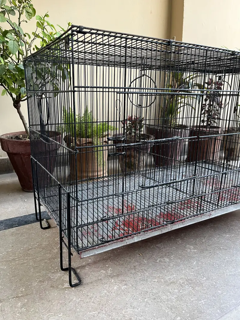 Metal Bird Cages for Sale | Large, Medium & Small Sizes — photo 5