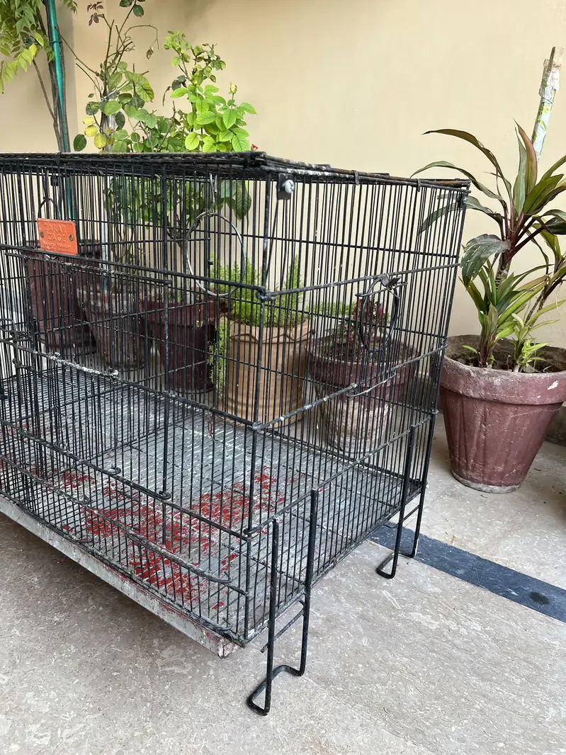 Metal Bird Cages for Sale | Large, Medium & Small Sizes — photo 6