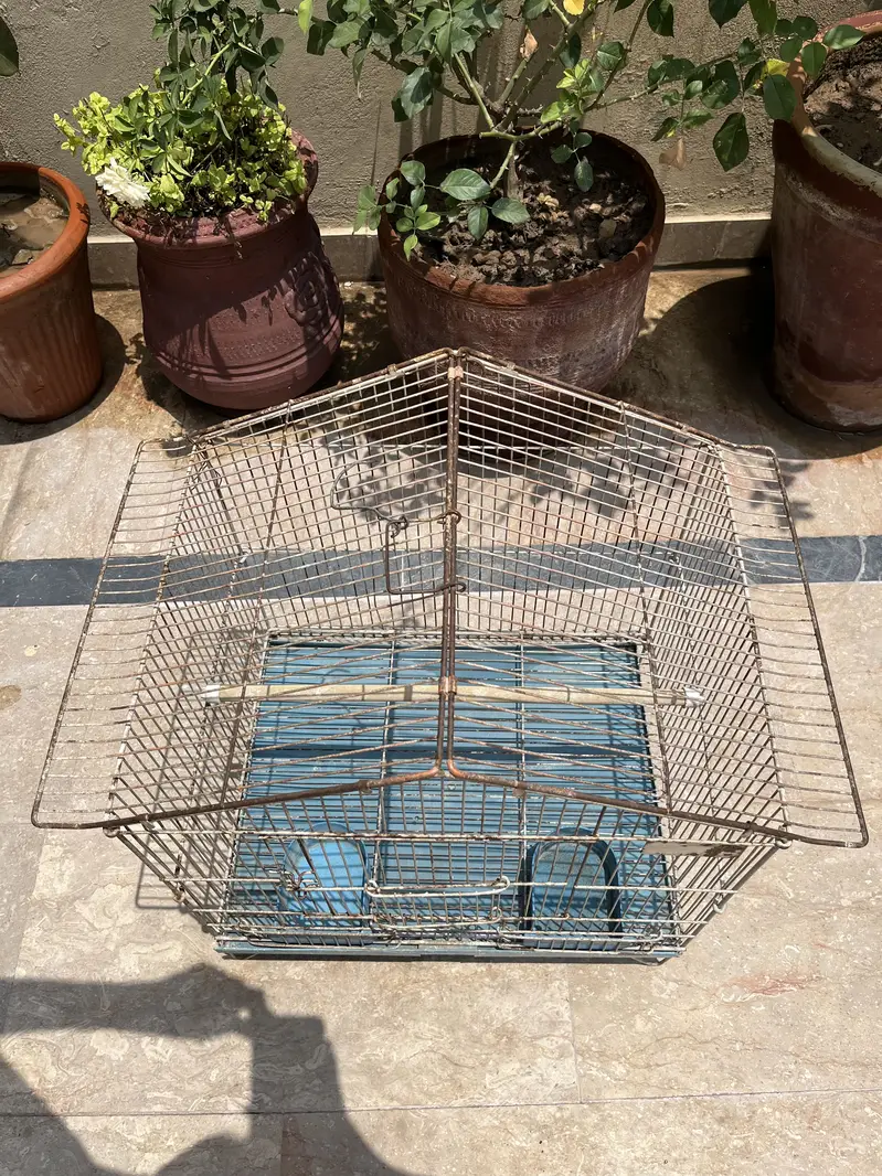 Metal Bird Cages for Sale | Large, Medium & Small Sizes — photo 7