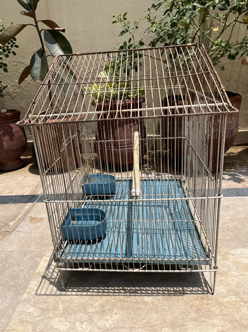 Metal Bird Cages for Sale | Large, Medium & Small Sizes — photo 8