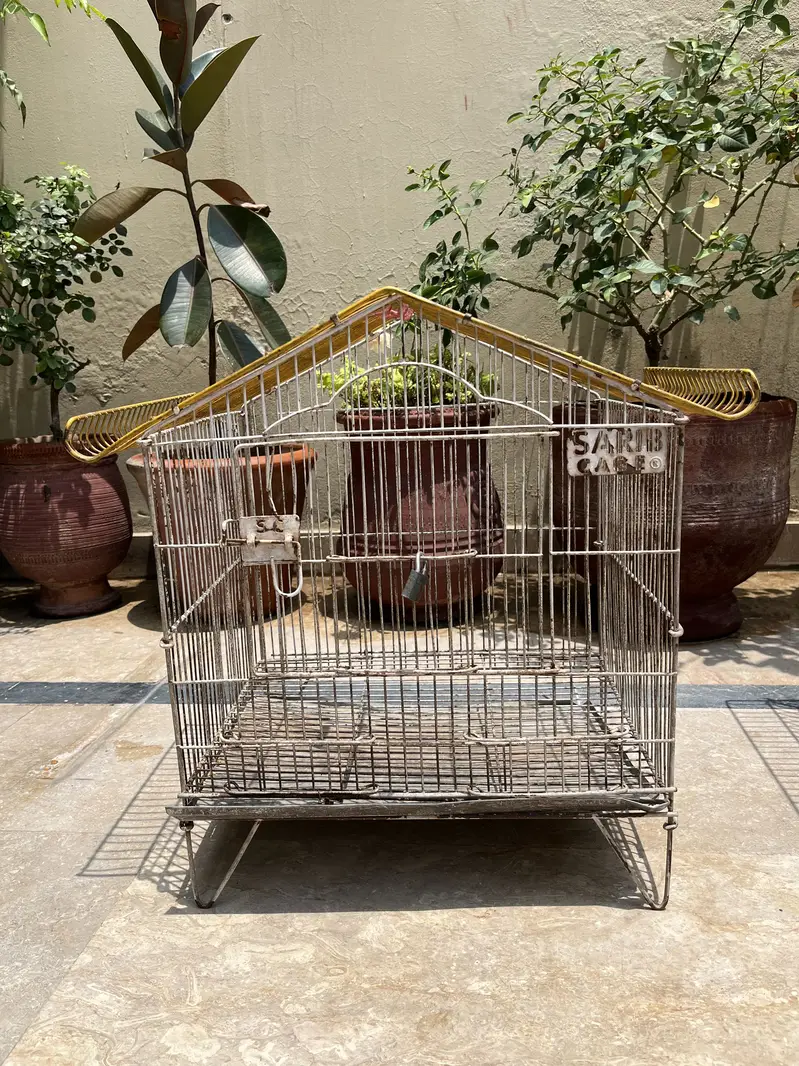 Metal Bird Cages for Sale | Large, Medium & Small Sizes — photo 9