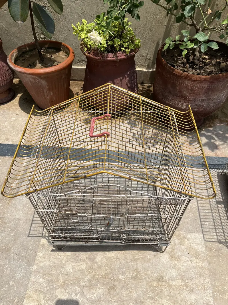 Metal Bird Cages for Sale | Large, Medium & Small Sizes — photo 10