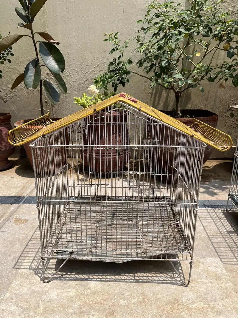 Metal Bird Cages for Sale | Large, Medium & Small Sizes — photo 11
