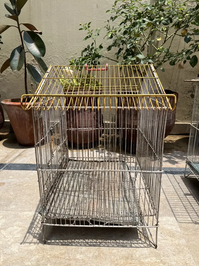 Metal Bird Cages for Sale | Large, Medium & Small Sizes — photo 12