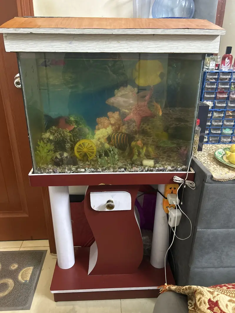 Aquarium with fish — photo 5