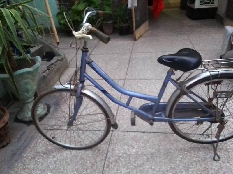 bicycle 3