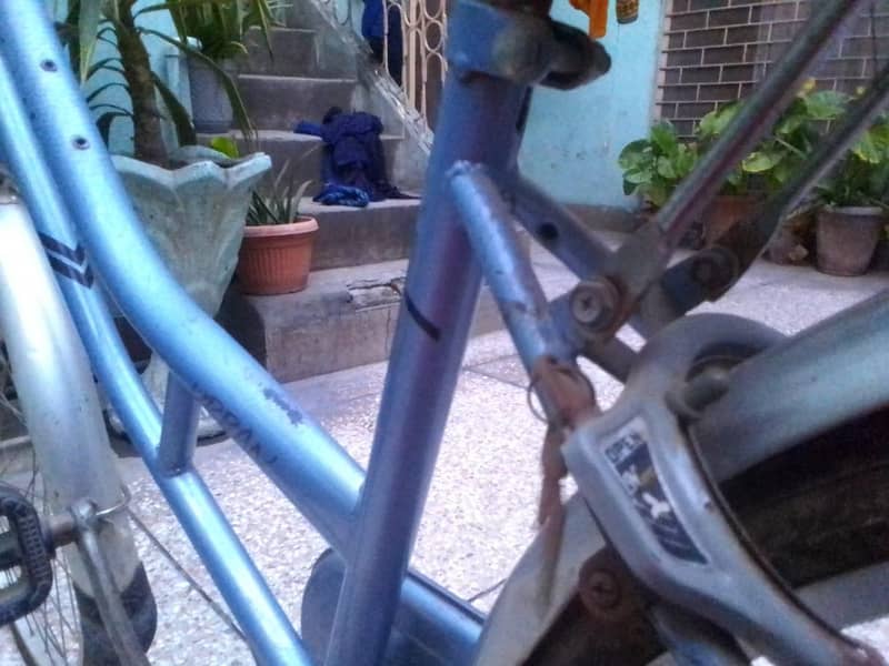 bicycle 5