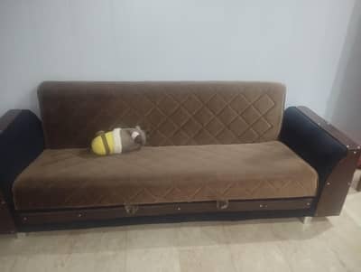 sofa cum bed