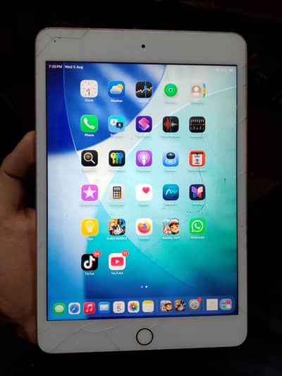 Ipad mini 5