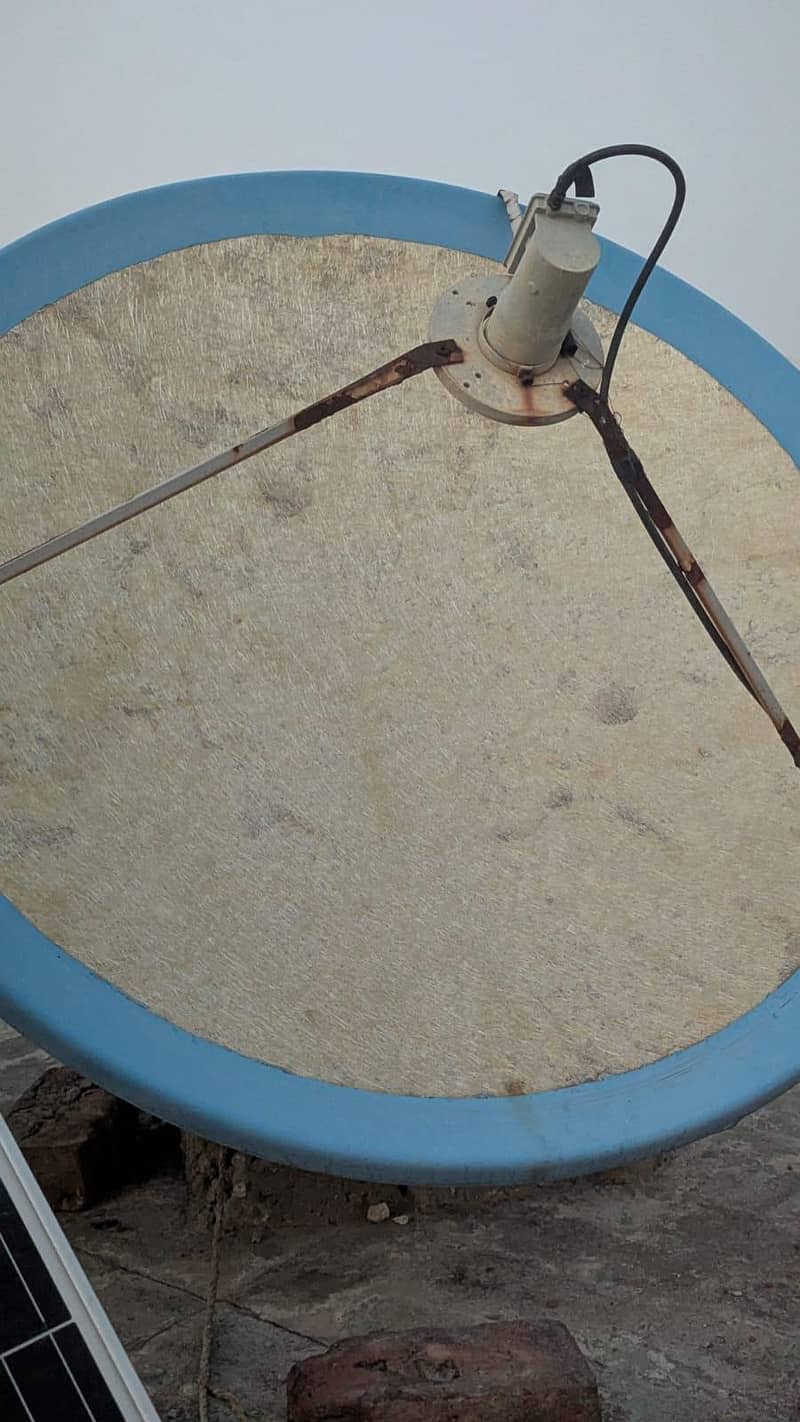 use condition dish 0