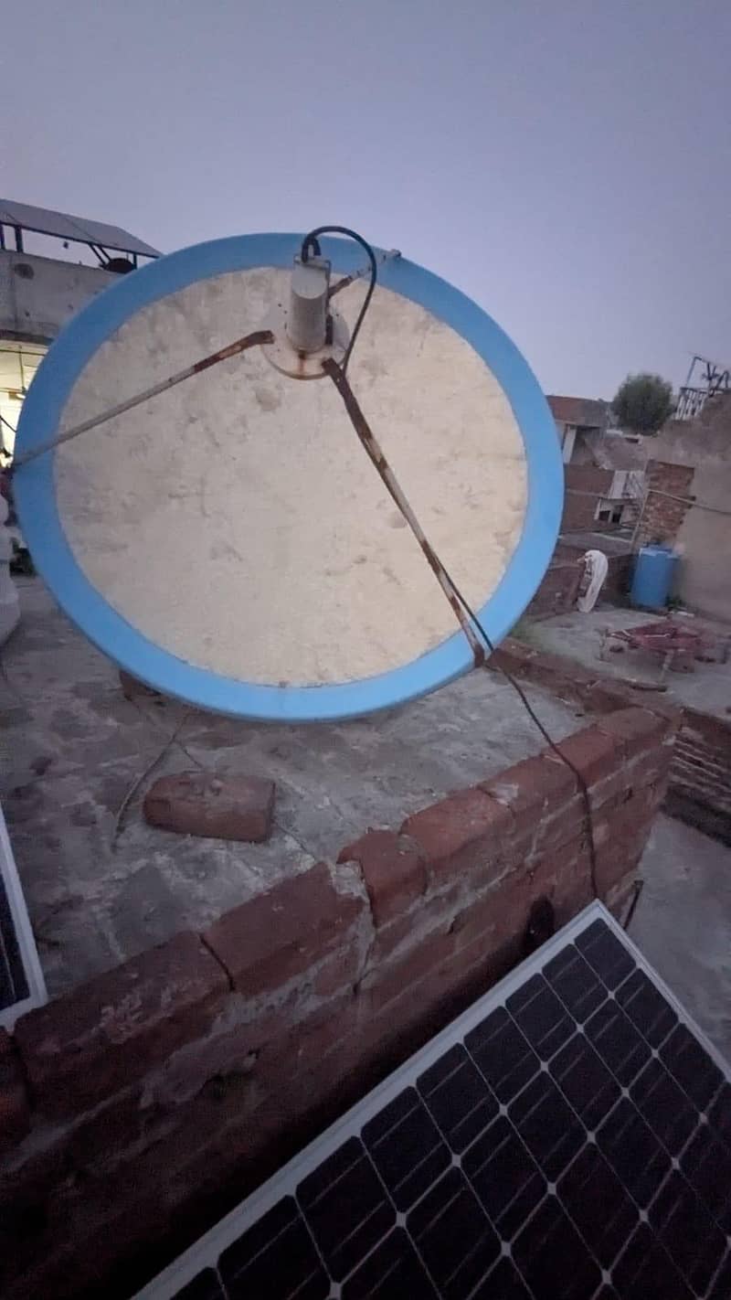 use condition dish 1
