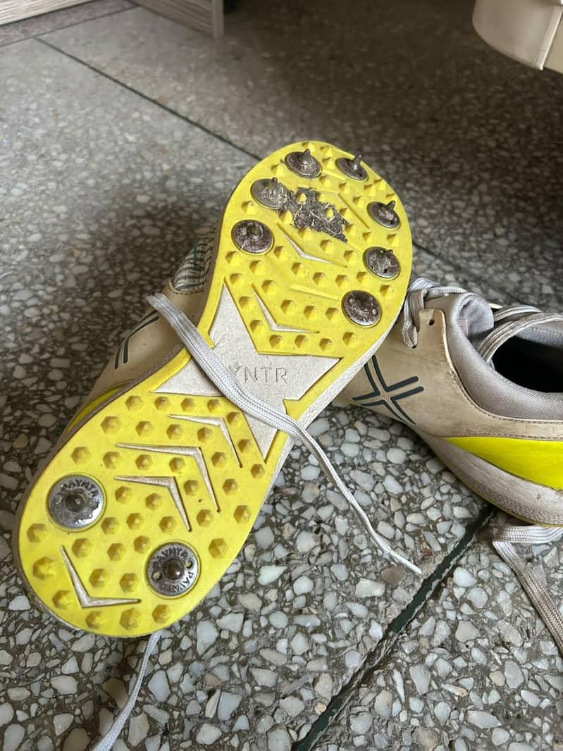 spikes 2