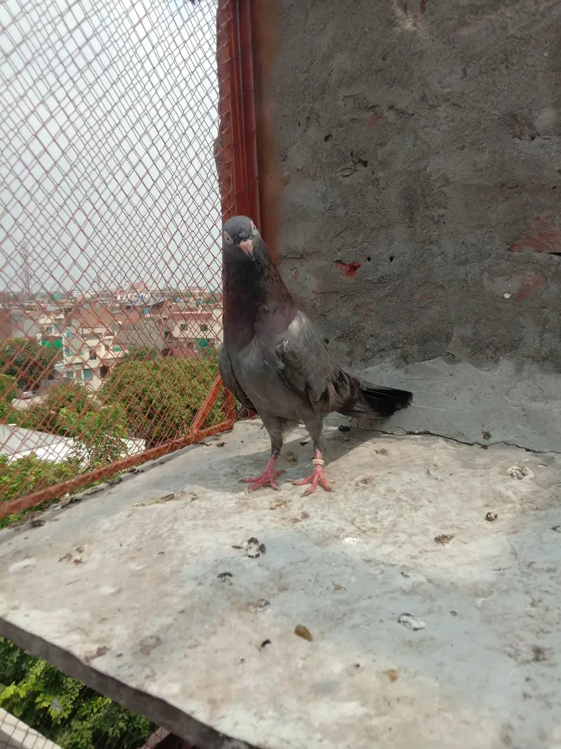 kamagar neely — photo 3