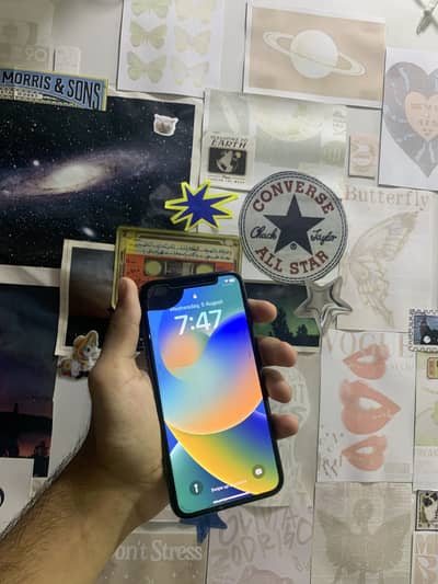 Apple iPhone X