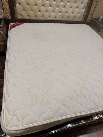 Master Molty foam