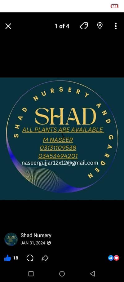 Shad Nursery & Gardening Services | Garden Maintenance Karachi