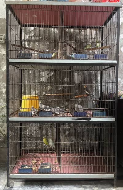 Parrots Cage 6 portions