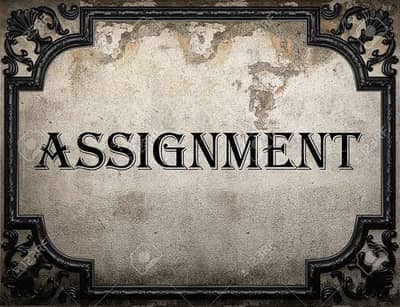 Assignment Writing Service | School, College & AIOU Work Available