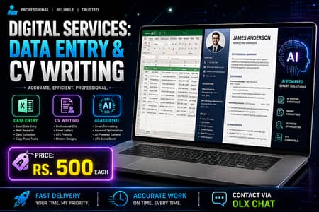 Professional Excel Data Entry & CV Design Services - Rs 500 Each