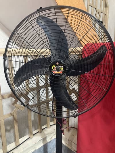 Pedestal fan 12v (can work on solar)