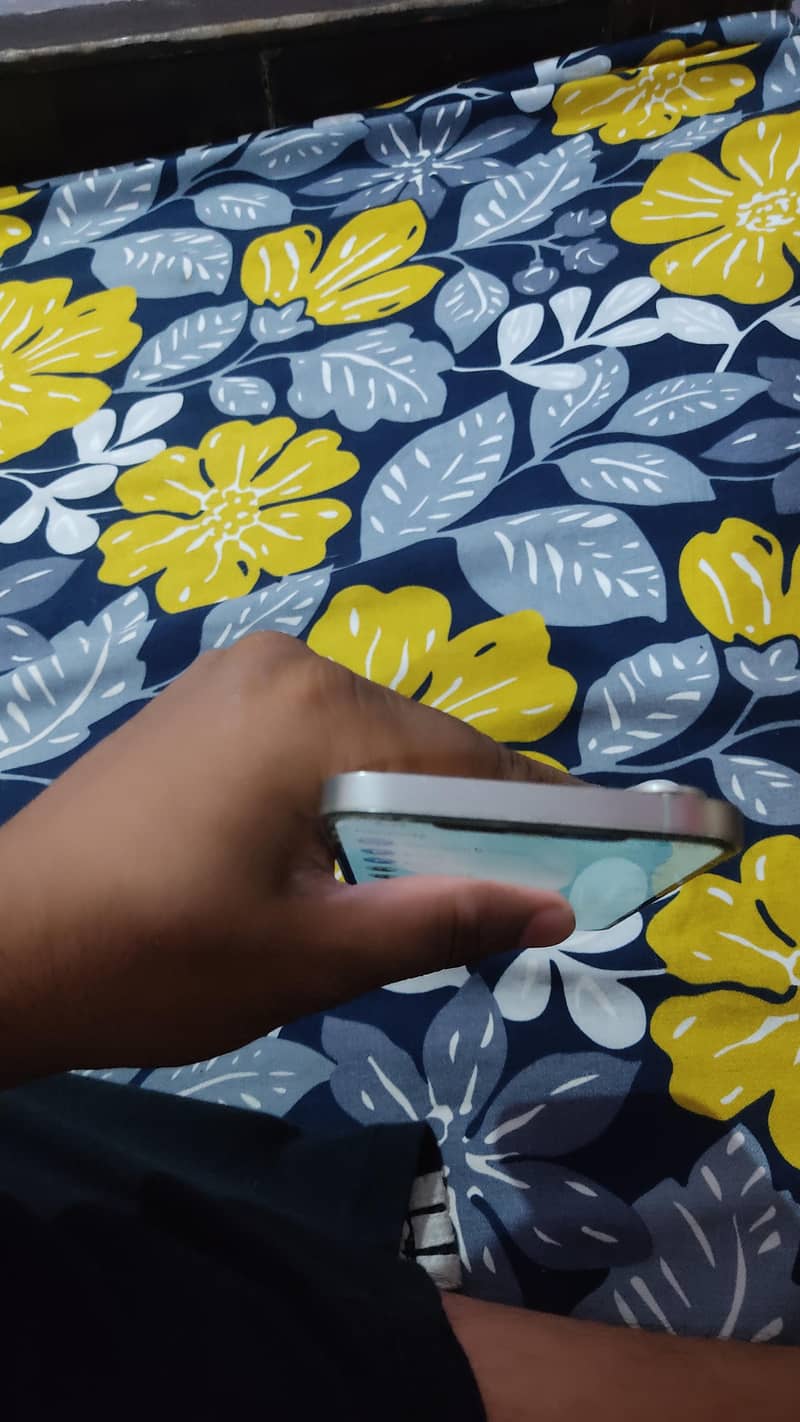 Apple iPhone 12 Pro Max 2