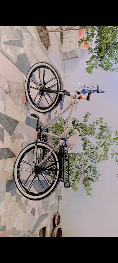 Gear cycle