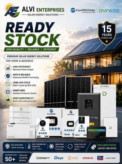 Dyness 24v 100Amp