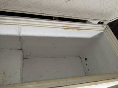wave deep freezer