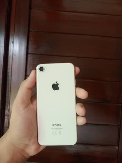 IPhone 8