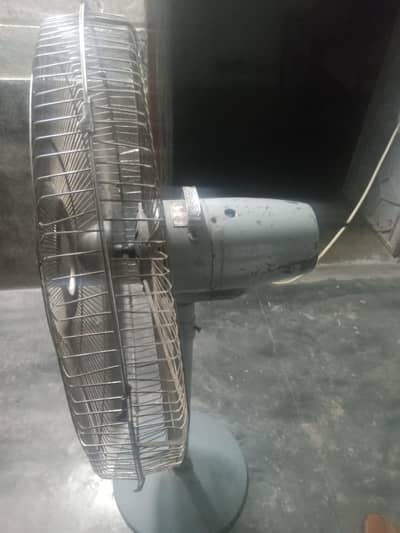 fan for sale