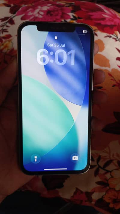 iPhone 12pro