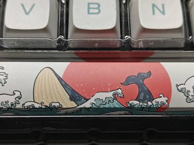 For Sale Coral Sea Premium keyCaps