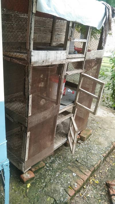 hen and Bird cage